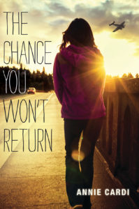 The Chance You Won't Return book cover